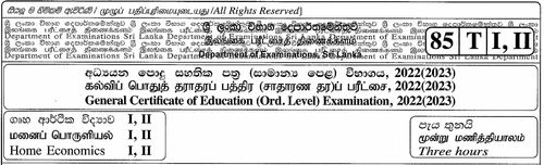 Grade 11 | Home Economics | Tamil medium | Past paper | 2022