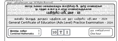 Grade 13 | Combined Mathematics | Tamil medium | Model paper | 2024