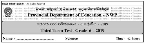 Grade 6 | Science | English medium | Term 3 | 2019