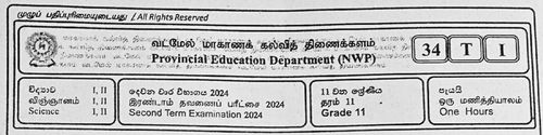 Grade 11 | Science | Tamil medium | Term 2 | 2024